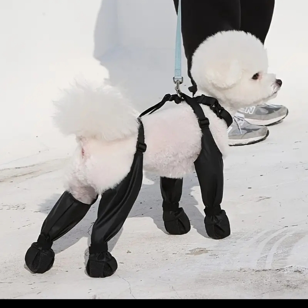 Black Dog Protective Leggings